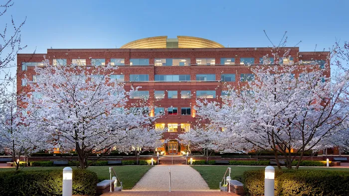 Next Level Exteriors Picture 10