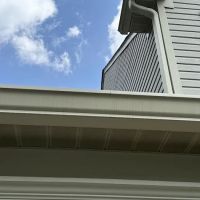 Next Level Exteriors ico