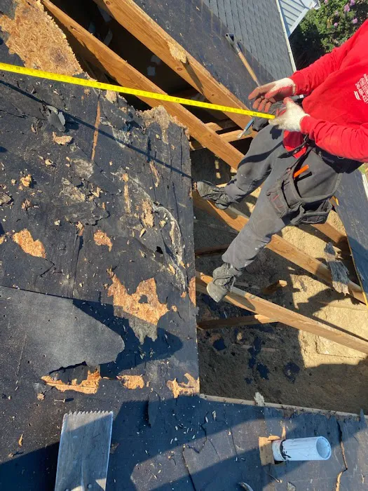 Skyline roofing Picture 1