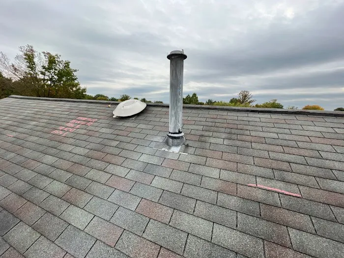 MLM Home Improvement Picture 2