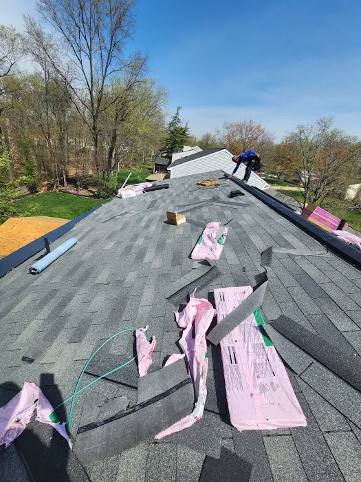 MLM Home Improvement Picture 4