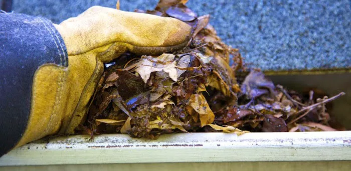 Davis Roofing Picture 2