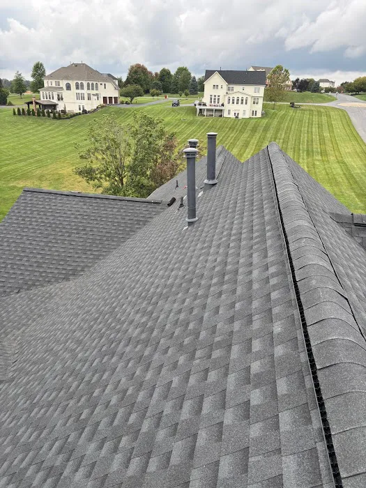 TEO Roofing Picture 1