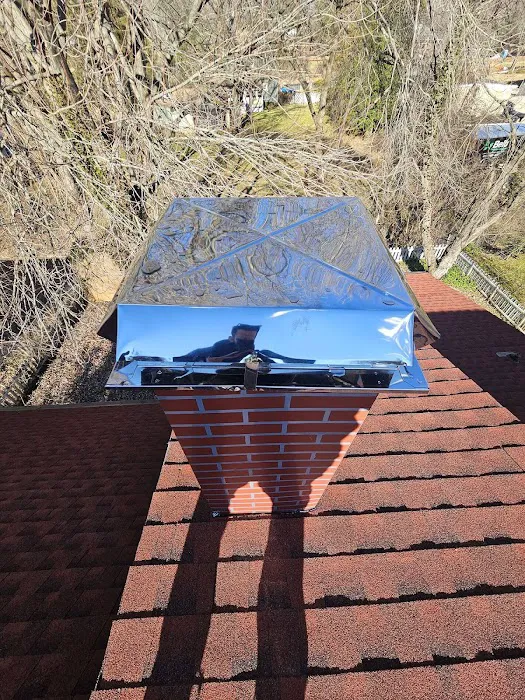 TEO Roofing Picture 4