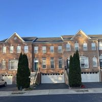 Blue Hammer Solutions ico