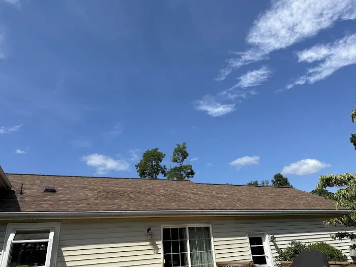 Pure Roofing Picture 2