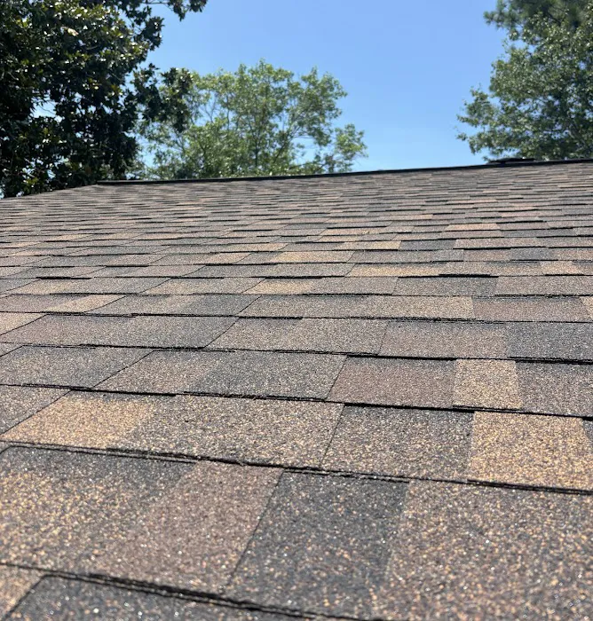 Pure Roofing Picture 4