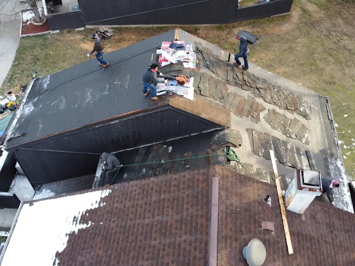 Wil the Roofer Picture 4