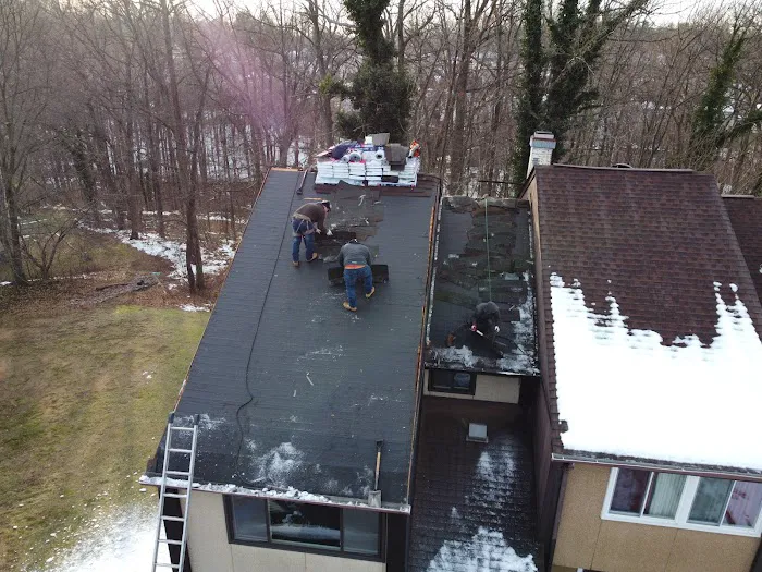 Wil the Roofer Picture 6