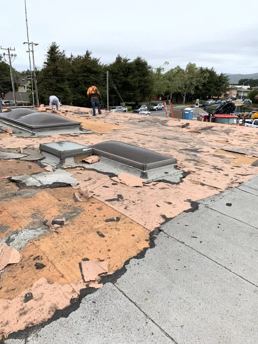 Gambies & Sons Roofing Picture 3