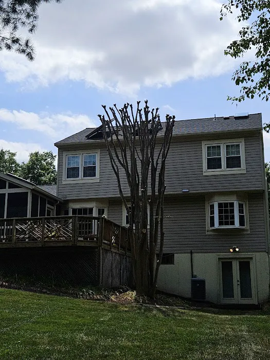 BMS Roofing Picture 6