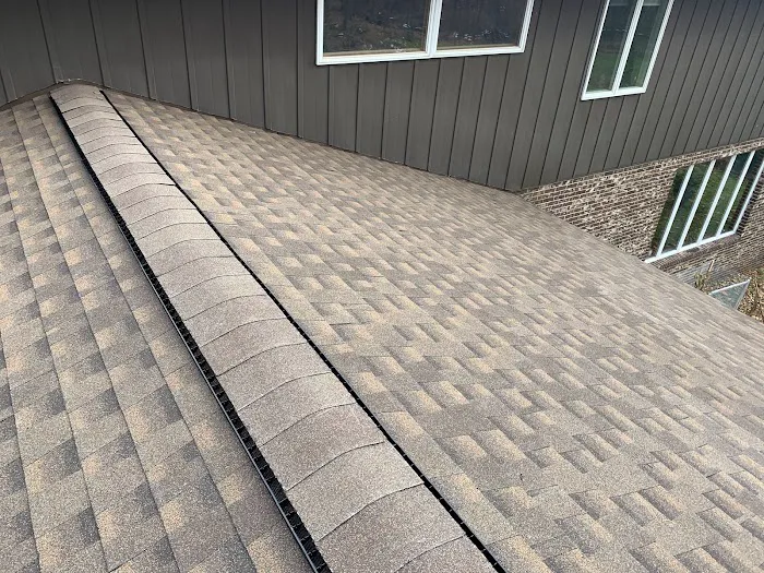 The Roofing King LLC Picture 5