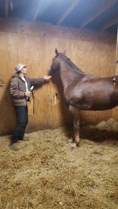 Ortiz Roofing Inc Picture 2