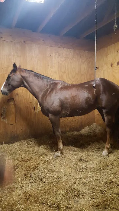 Ortiz Roofing Inc Picture 3