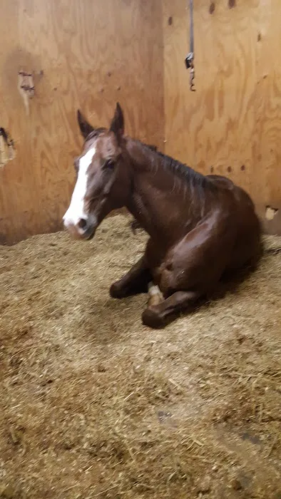 Ortiz Roofing Inc Picture 4