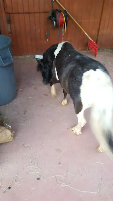 Ortiz Roofing Inc Picture 1