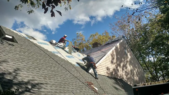 Roofsimple Picture 9