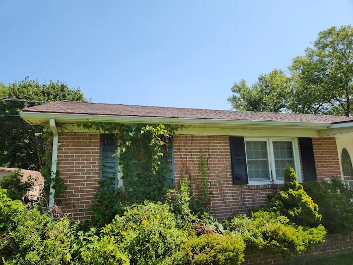 Roofsimple Picture 2