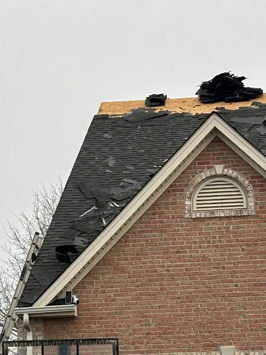 Roofsimple Picture 8