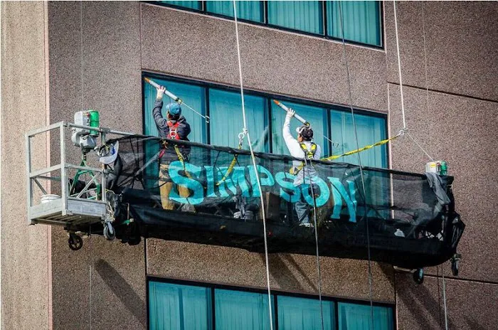 Simpson Unlimited Picture 2