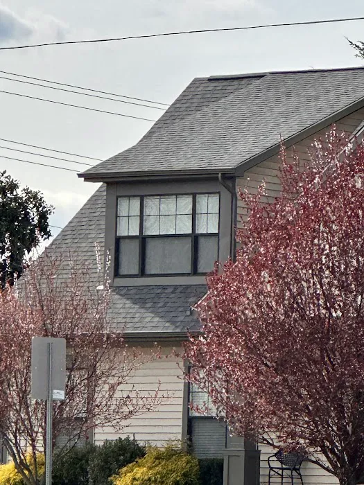 Golden Tree Roofing Picture 2