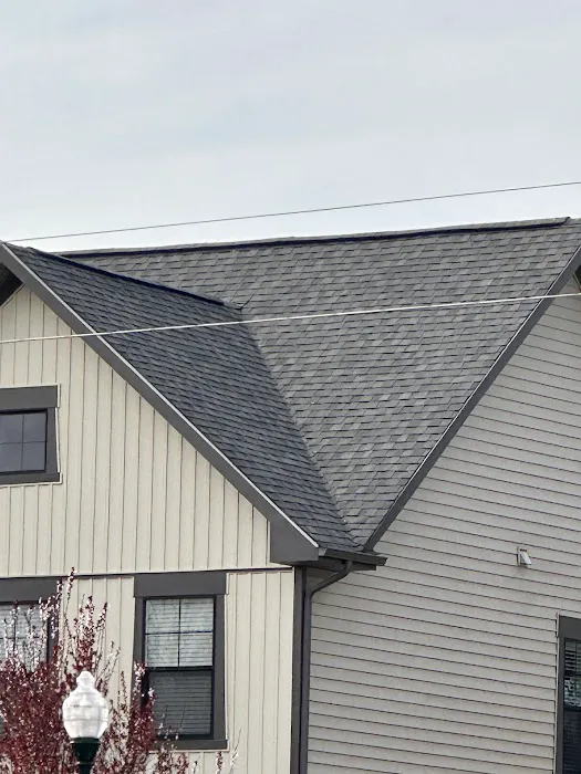 Golden Tree Roofing Picture 4