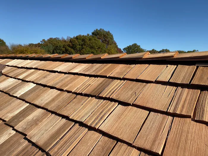 Freddy and Son Picture 4