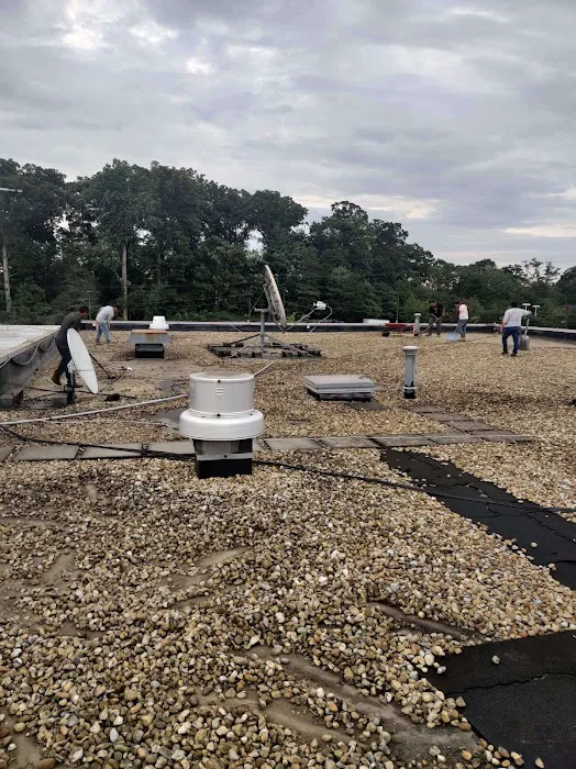 Lion Roofing LLC Picture 3