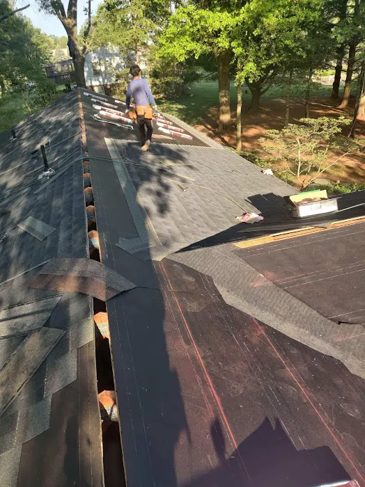 Lion Roofing LLC Picture 9