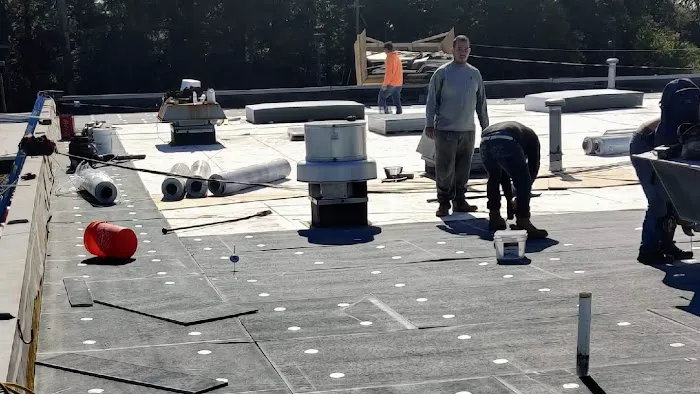 Lion Roofing LLC Picture 4