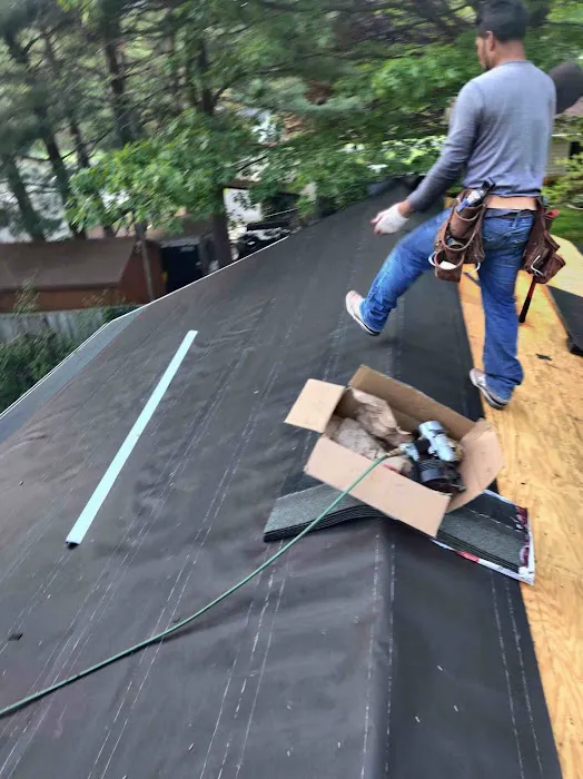Lion Roofing LLC Picture 6