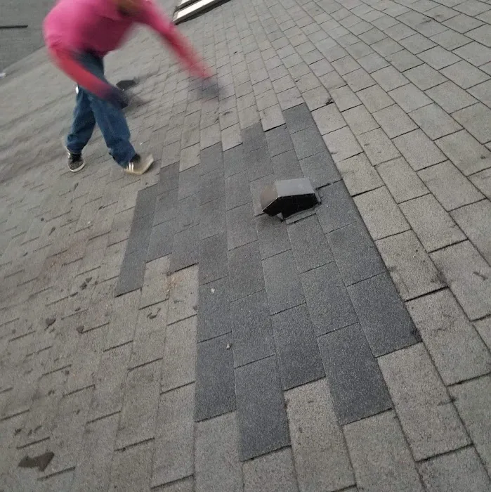 Lion Roofing LLC Picture 1