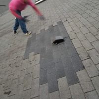 Lion Roofing LLC ico