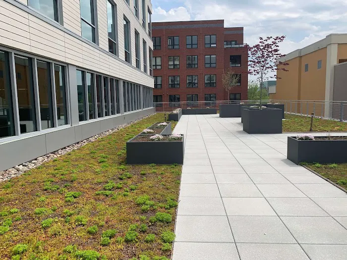 International Roofing Picture 3