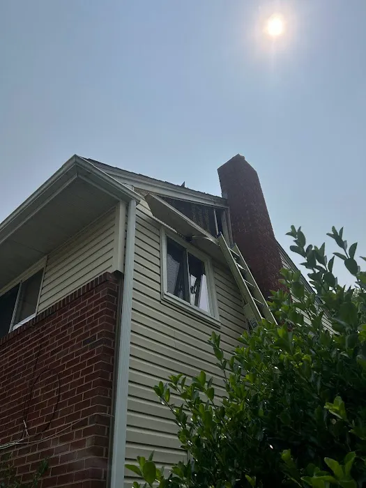 Top Dog Home Pro Picture 5