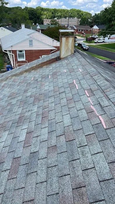 Top Dog Home Pro Picture 4