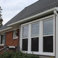 Top Dog Home Pro ico