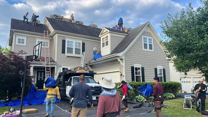 Top Dog Home Pro Picture 2