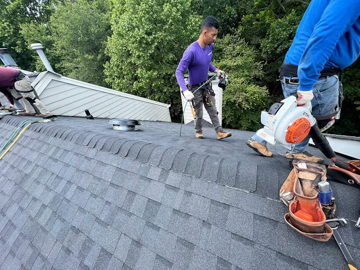 Top Dog Home Pro Picture 3