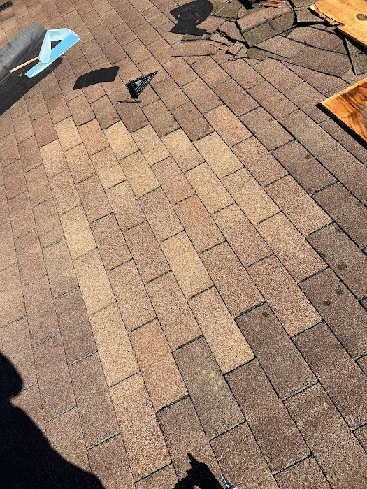 Top Dog Home Pro Picture 10