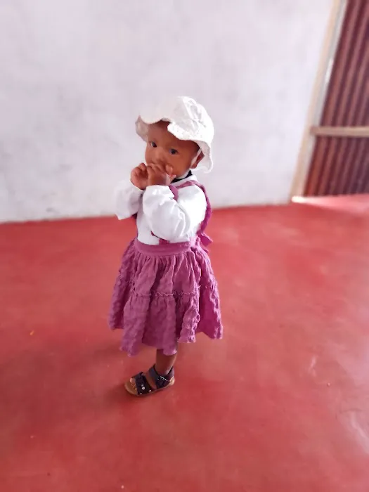 Stowe Woodward Co Picture 1