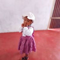 Stowe Woodward Co ico