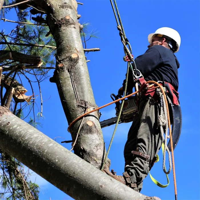 The Best Roofing Contractor Near Me | Trusted Roof Systems Picture 3