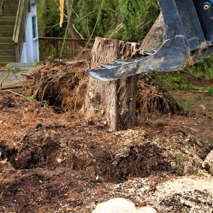 The Best Roofing Contractor Near Me | Trusted Roof Systems Picture 6