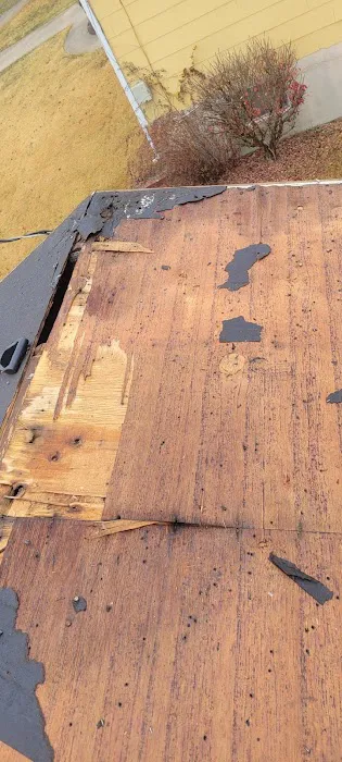 Xtreme Roofing Picture 4