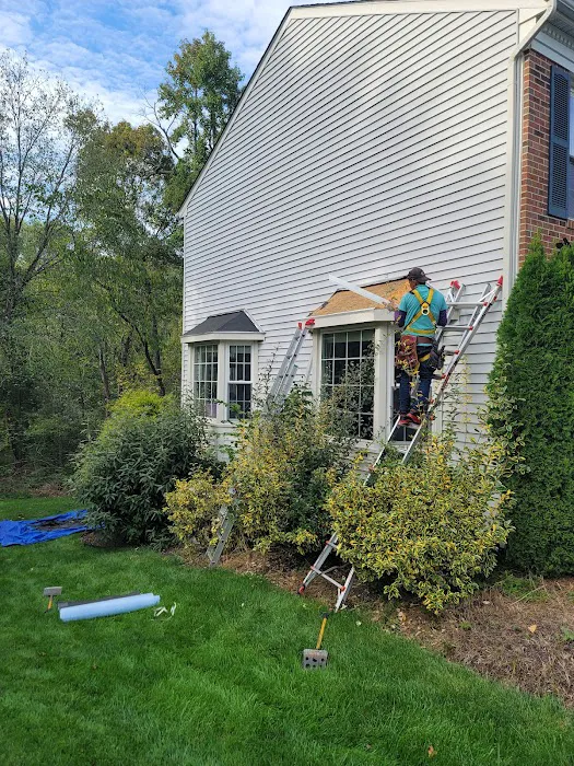 My Roofers Picture 4