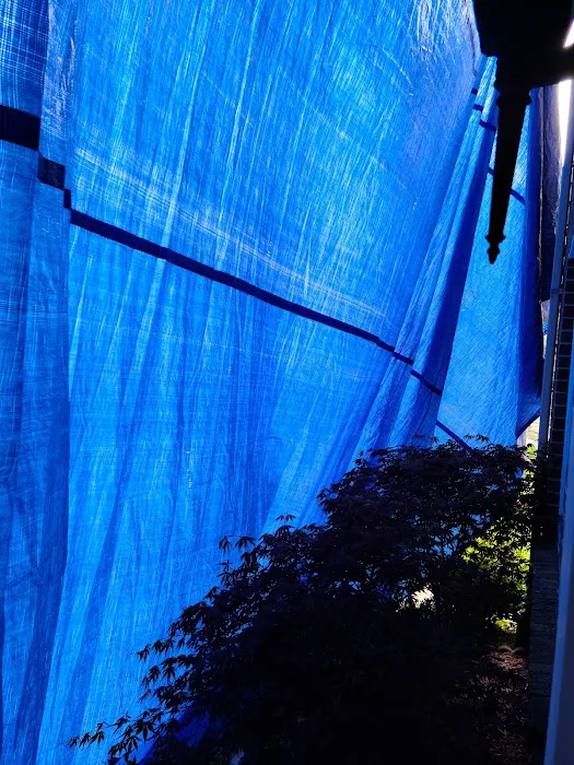 NuvoHaus Home Improvement Inc Picture 7