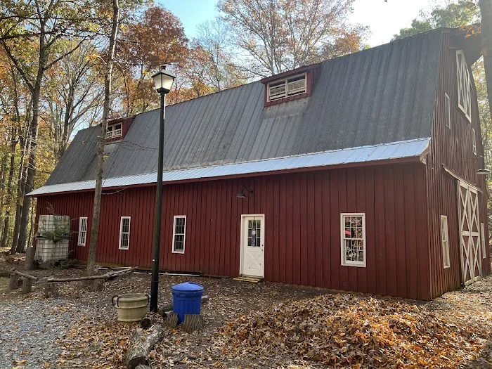 Transylvania Group Picture 4