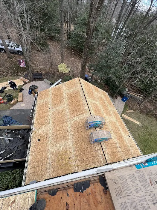 ROOF PROS VA Picture 10