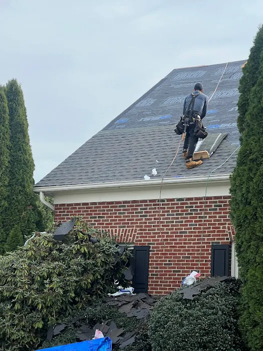 ROOF PROS VA Picture 8